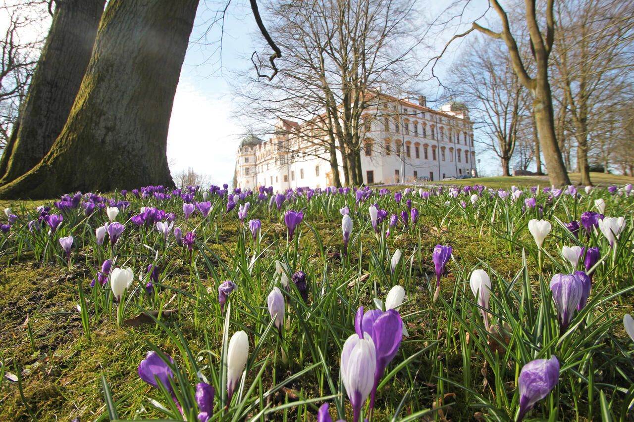 Der Schlosspark in Celle im Frühling